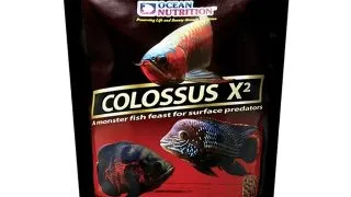 OCEAN NUTRITION Colossus Q2, 200g