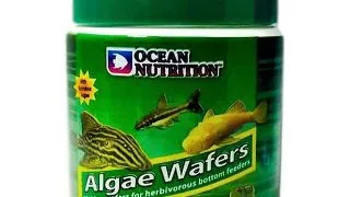 OCEAN NUTRITION Algae Wafers, 75g