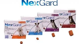 Nexgard Caine, 1 tableta