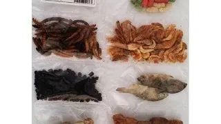 Meniu Saptamanal Broscute