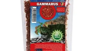 Exo Gammarus 50 g