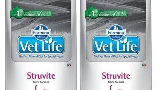 FARMINA Vet Life Cat Struvite 2x10 kg pentru pisici cu probleme ale tractului urinar