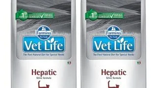 FARMINA Vet Life Hepatic Cat 10 kg x 2 dieta veterinara pisici cu afectiuni hepatice