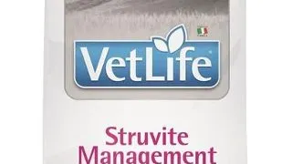 FARMINA Vet life struvite management cat 400g