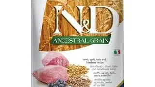 FARMINA N&amp;D Ancestral Grain Adult Medium/Maxi Hrana caini adulti talie medie si mare, cu miel, grau, ovaz, afine 12 kg