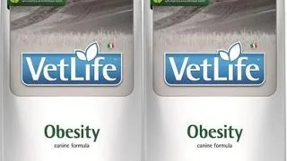 FARMINA Vet Life Dog Obesity 2x12 kg dieta pentru caini cu diabet