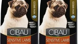 FARMINA Cibau Sensitive Lamb MINI hrana caini rasa mica cu sistem digestiv sensibil, miel 2 x 2,5 kg