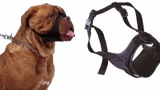 FERPLAST BOTNITA SAFE BOXER