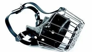 Dingo Botnita Metal Pitbull 4158