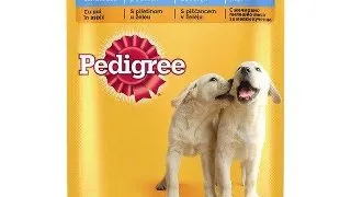 Pedigree Plic Junior 12x100 g