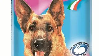 Simba Dog Cons Miel 1230 g
