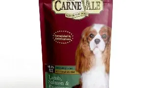 Carnevale Dog Plic Miel/Somon/Rozmarin 125 g