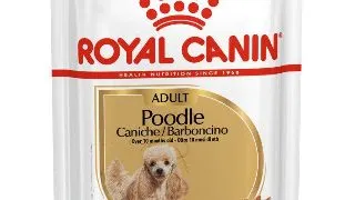 Royal Canin Plic Poodle 85 g