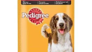 Pedigree Plic Adult Vita in Aspic 100 g