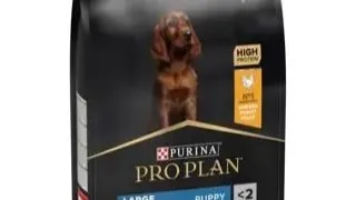 Pro Plan Dog Puppy Large Athletic Chicken 12 Kg