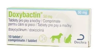 Doxybactin, 10 tablete