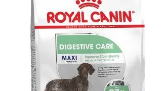 Royal Canin Maxi Digestive Care 12 kg