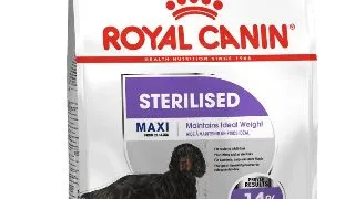 Royal Canin Maxi Sterilised Adult 12kg