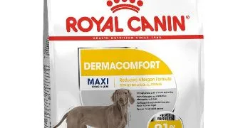Royal Canin Maxi Dermacomfort 3 kg
