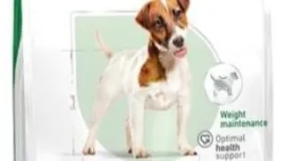 Royal Canin Mini Adult - 2-kg