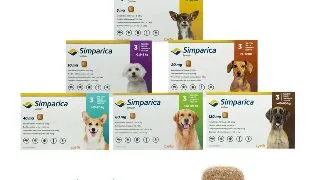 Simparica Caine, 1 tableta