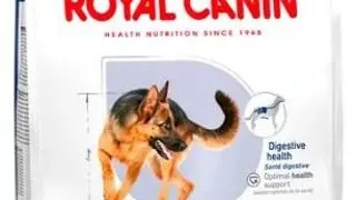Royal Canin Maxi Adult - 4-kg