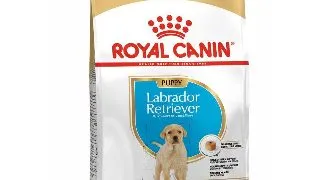 Royal Canin Labrador Retriever Puppy - 12-kg