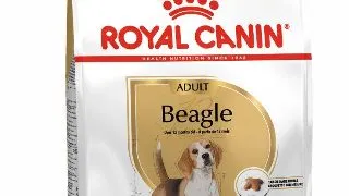 Royal Canin Beagle Adult 3 kg