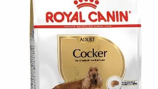 Royal Canin Cocker Adult 3 kg