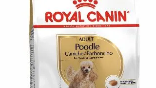 Royal Canin Poodle 1.5 kg