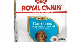 Royal Canin Dachshund Puppy 1.5 kg