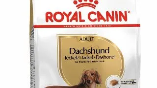 Royal Canin Dachshund Adult 1.5 Kg