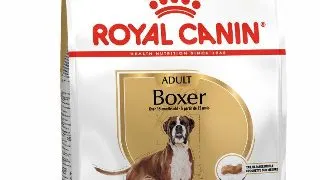 Royal Canin Boxer Adult - 12-kg