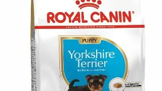 Royal Canin Yorkshire Terrier Puppy - 1-5-kg