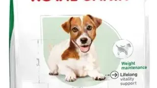 Royal Canin Mini Ageing+12/1.5 kg