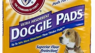 Fresh'N Clean Covor Absorbant Adult 57X76cm/36 Buc
