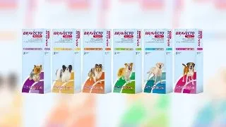 Bravecto TriUNO, 1 tableta