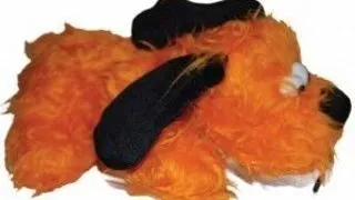 Pet Expert Catel Plus Portocaliu