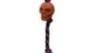 Jucarie Caine Pet Expert Cranium Toy NTD5056