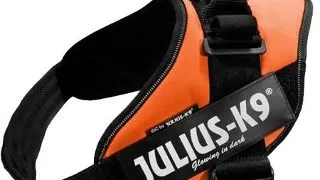 Trixie Ham Julius-K9 4 96-138 cm 16IDCOR4 Orange 70-90 kg