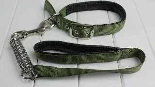 Pet Expert Zgarda/Lesa Verde 25/75