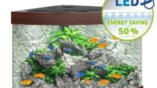 Juwel Acvariu Led Trigon 350 Maro