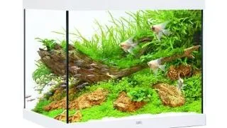 Juwel Acvariu Led Lido 200 Alb