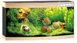 Juwel Acvariu Led Vision 450 Natur