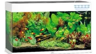 Juwel Acvariu Led Rio 180 Alb