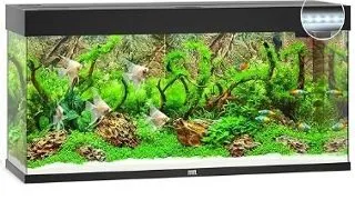 Juwel Acvariu Led Rio 240 Negru