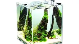 AQUAEL ACVARIU SHRIMP SMART PLUS 10 L NEGRU 113224