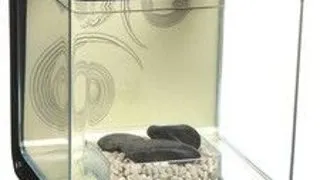 Marina Betta Kit Zen 13401
