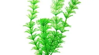 Resun Planta Plastic Cabomba 40 cm