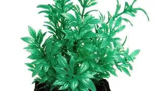 Resun Planta Plastic Bush Turcoaz 10 cm